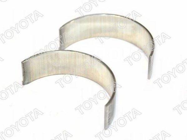 Bearing Set